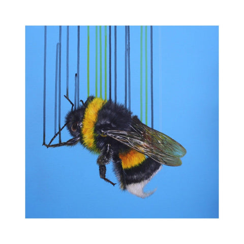 BOMBUS TERRESTRIS BY LOUISE MCNAUGHT