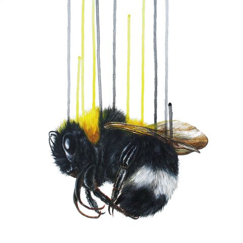 "The Death of the Alchemists" Louise McNaught Print